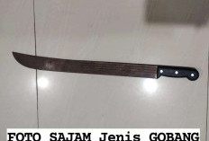 Pelaku Penganiayaan Pelajar di Sindang Barang Berhasil Ditangkap Sat Reskrim Polresta Bogor Kota