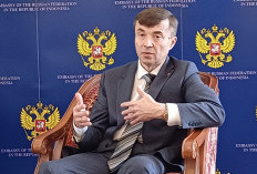 Rusia dan Indonesia Perkuat Kerja Sama Praktis di Berbagai Sektor