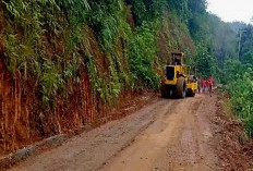 Pemkab Madina Tingkatkan Sarana Infrastruktur Ruas Jalan