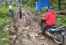 Belum Pernah Tersentuh Pemerintah, Warga Keluhkan Jalan Loh Yang Sudah Lama Rusak Parah