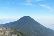  Gempa Vulkanik Gunung Gede, Pemkab Bogor Didesak Gelar Simulasi Kebencanaan