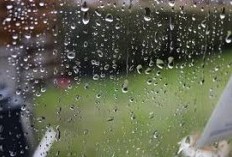 Prakiraan Cuaca Hari Ini Kamis 30 Januari 2025 di Kota Bogor, Hujan Ringan Akan Menyelimuti Kota Bogor