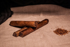 Sejarah Tembakau di Indonesia, Dari Tanaman Asing hingga Komoditas Ekonomi Penting