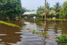 Bupati Labuhanbatu Turun Langsung Temui Warga Terdampak Banjir