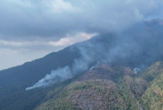 Kebakaran Hutan Gunung Lawu Meluas hingga 490 Hektare, BPBD Siapkan Empat Posko