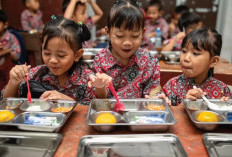 Makan Bergizi Gratis  Itu Program Atau Proyek?