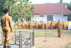 Pimpin Apel Gabungan, Kepala Inspektorat Labuhanbatu Warning OPD: Ubah Mindset, Stop Cari Cara Habiskan Anggar