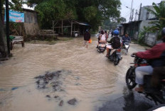 Akibat Hujan Deras dari Gunung, Medan Sunggal dan Tuntungan Terendam Banjir