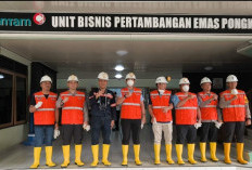 Kerja Keras Tim Antam dan SAR Gabungan, Dua Korban Tambang Pongkor Berhasil Dievakuasi