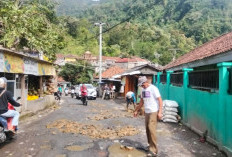Santunan Yatim dan Perbaikan Jalan, Komitmen CSR PT Aneka Tambang Tbk UBPE Pongkor untuk Warga Sekitar