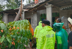 Kesiapsiagaan Polri, Personel Polres Karanganyar Sigap Tangani Pohon Tumbang Akibat Cuaca Ekstrem