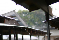 Musim Hujan Belum Usai, Simak Langkah-Langkah Ini untuk Tetap Aman!   