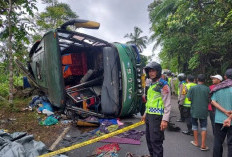 Bus ALS Terguling, 1 Orang Meninggal Dunia