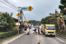 Jalan Raya Nasional Jasinga–Leuwiliang Berlubang, Pemuda Bogor Barat Gelar Kritik Lewat Aksi Nyata