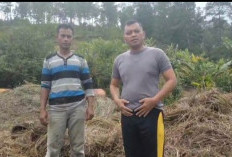 Brimob Batalyon D Polda Aceh Buka Peluang Kerja bagi Masyarakat Melalui Program Pemberdayaan Ekonomi