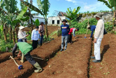 Kemitraan Strategis PT MBI dan BRMP Biogen Bogor Hadapi Krisis Benih Edamame Nasional   