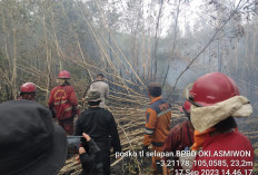 Upaya Tim Satgas Darat dan Udara Kendalikan Karhutla di Ogan Komering Ilir