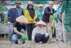 Dukung Program Ketahanan Pangan, Bupati Lakukan Penanaman Padi Darat Gogo