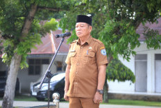 Bertanggung Jawab atas Pelaksanaan Otonomi Daerah, Pemkab Labuhanbatu Tekankan OPD Gali Sumber Keuangan