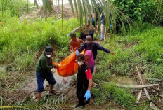Warga Pantai Labu Geger, Mayat Anak Laki-Laki Mengambang di Aliran Sungai