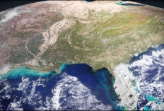 NASA Ciptakan Teknologi AI: Deteksi Dini Munculnya Alga Berbahaya di Laut Jadi Lebih Cepat dan Akurat!