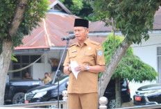 Apel Gabungan, Asisten I Sampaikan Isu Utama Pemberdayaan Perempuan dan Perlindungan Anak 