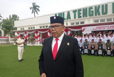 Simpatisan PDI Perjuangan Unjuk Rasa, Ketua DPRD Sumut: Nggak ada Untungnya