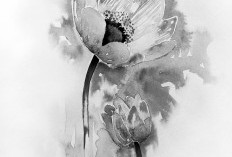 Rekayasa Membawa Derita