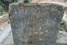 Telaga Kusuma Tunggulrejo Punya mBerpadas Janggle Park Tawarkan Eksotisme Hutan Purba 