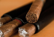 Asap dari Masa Lalu, Sejarah Rokok di Indonesia