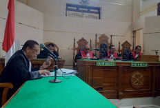 Tiga Terdakwa Perdagangan Sisik Tenggiling dan Paruh Rangkong Dituntut 1,5 Tahun