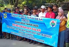 Sentuhan Emas Dana Desa 2025, Jalan-Jalan di Ciampea Bersolek, Warga Tersenyum Lebar!   