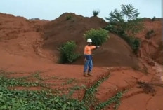 Suta Widhya: PT. CITA Mineral Investindo Tbk Telah Dilaporkan ke Presiden Atas Dugaan Pencemaran Lingkungan Hi