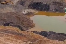 Perihal Tambang Liar Diduga Berada di PT Gawi Makmur Kalimantan Viral, Netizen Desak Penegakan Hukum