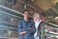 Reisha Puyuh Farm Berbagi Tips Jitu Pengembangan Usaha Telur Puyuh dengan Lahan Terbatas