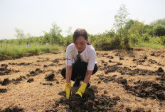 Acer Indonesia Melakukan Penanaman Ribuan Mangrove di Kawasan Konservasi Mangrove Wonorejo, Surabaya