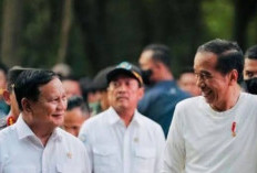 Runtuhnya Matahari Kembar ,   Jokowi - Prabowo 