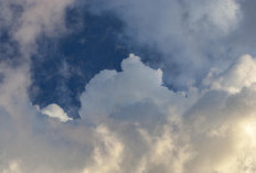 Prakiraan Cuaca Jabodetabek Hari Ini, Rabu 16 Agustus 2023