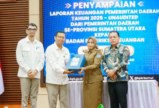 Bupati Labuhanbatu Sampaikan Laporan Keuangan Daerah ke BPK Perwakilan Sumut 