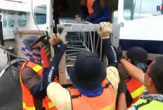 Pekerja Keras dengan Integritas Tinggi, Kesaksian Rohadi Direktur PT BKU dalam Kasus Proyek BTS 4G