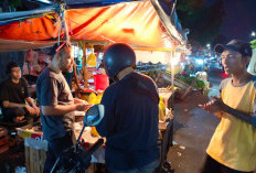 Kurniawan : Lampung Penghasil Pepaya Nomor Satu