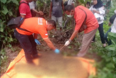 Jenazah Pensiunan Karyawan BUMN Ditemukan Tergantung di Pohon Sawo