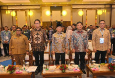 Bupati Labuhanbatu Terima Penghargaan Universal Health Coverage (UHC) Tingkat Pratama