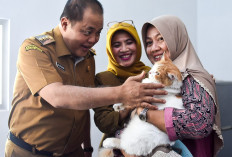 World Rabies Day, Ratusan Ekor Kucing Ikuti Vaksinasi Rabies