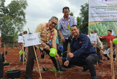 Pramuka dan PT MBI Gelar Penanaman Perdana, Buvertacibubur Jadi Kebun Percontohan Nasional Swasembada Pangan