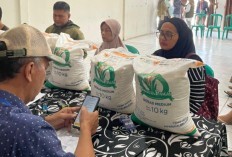 Perum BULOG Laksanakan Penugasan Bapanas Salurkan Bantuan Beras Sekaligus