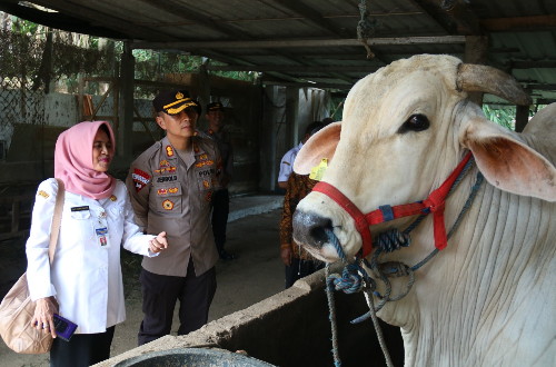 Kapolres Karanganyar Dampingi Dinas Peternakan Hadiri Kediaman Kasno Peternak Sapi Karangpandan 