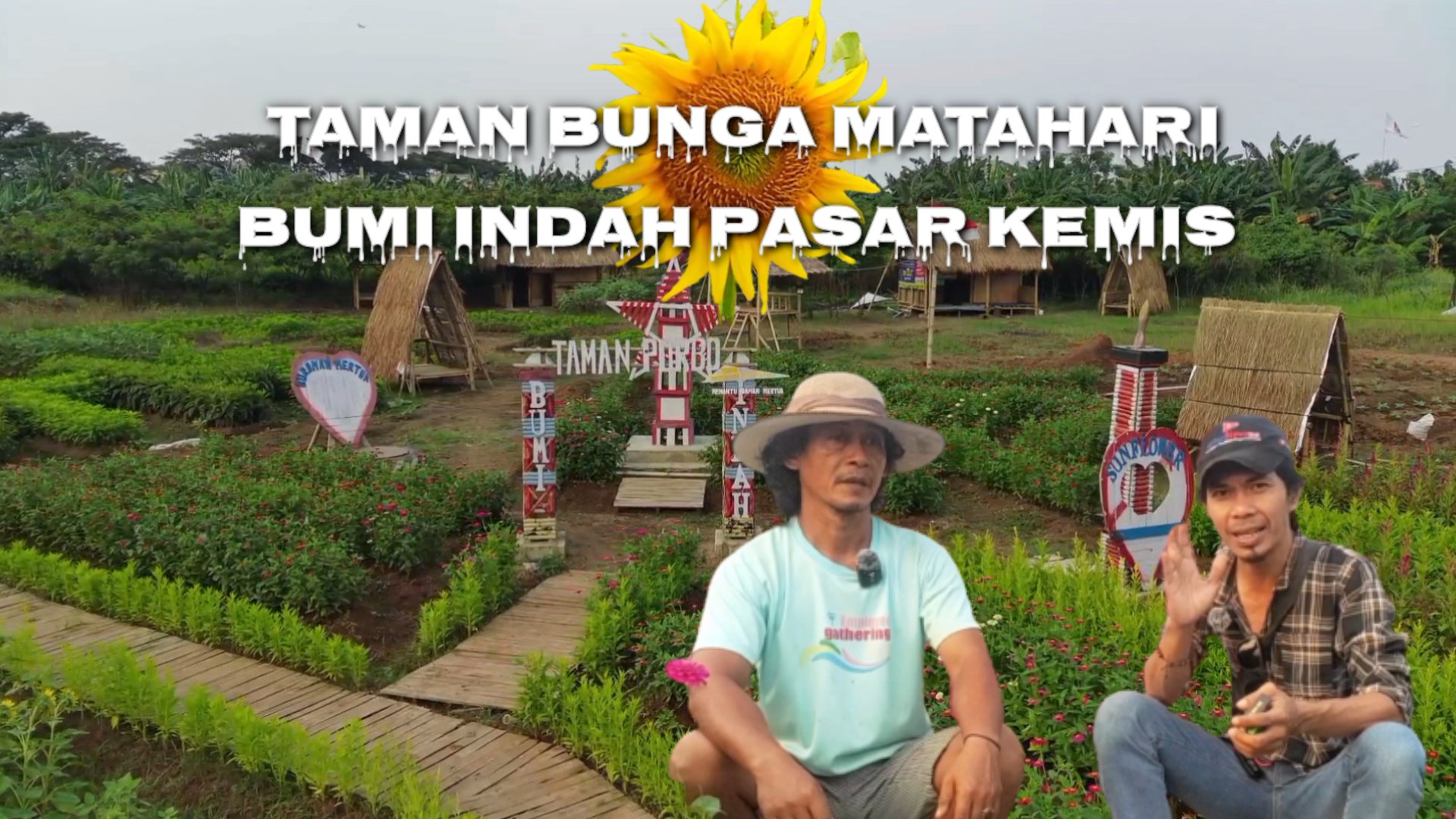 Taman Bunga Matahari Bumi Indah, Pasar Kemis Kembali dibuka Untuk Umum