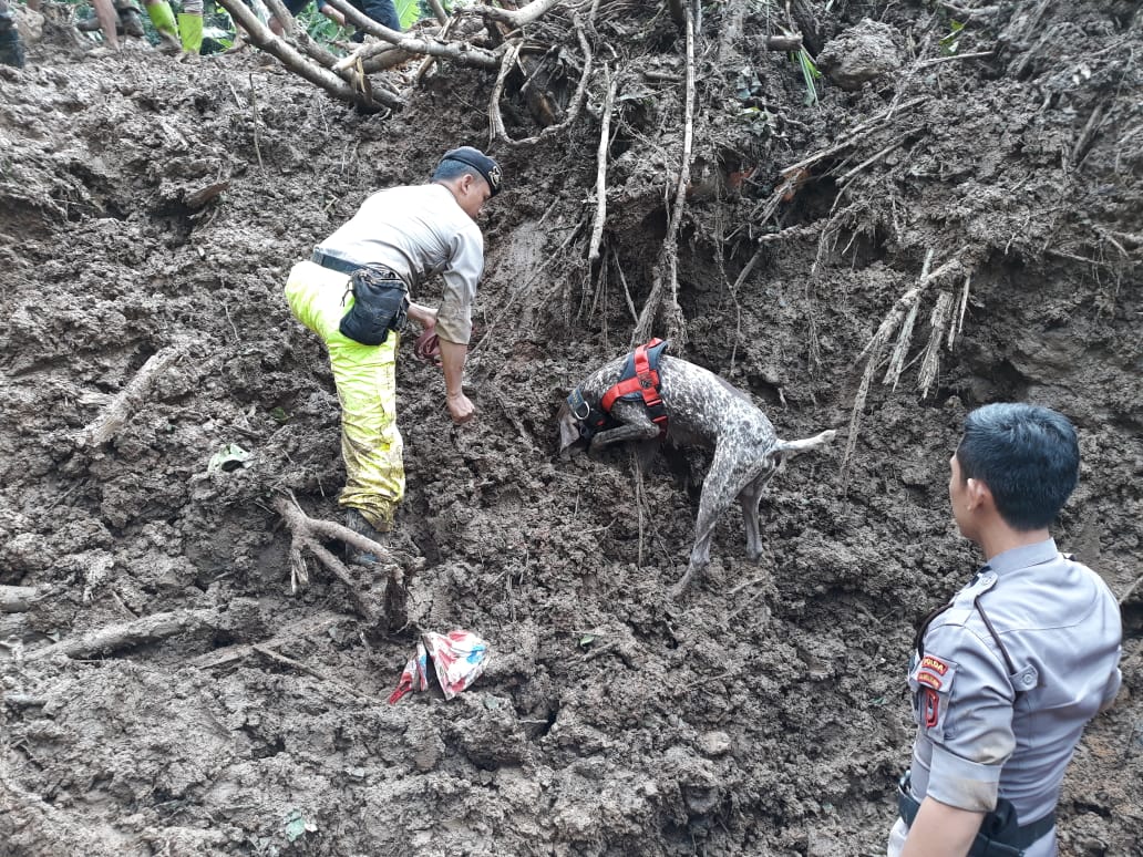 Masih Tertimbun Tanah, 7 Jenazah Korban Bencana Alam  Longsor di Gowa Berhasil Ditemukan