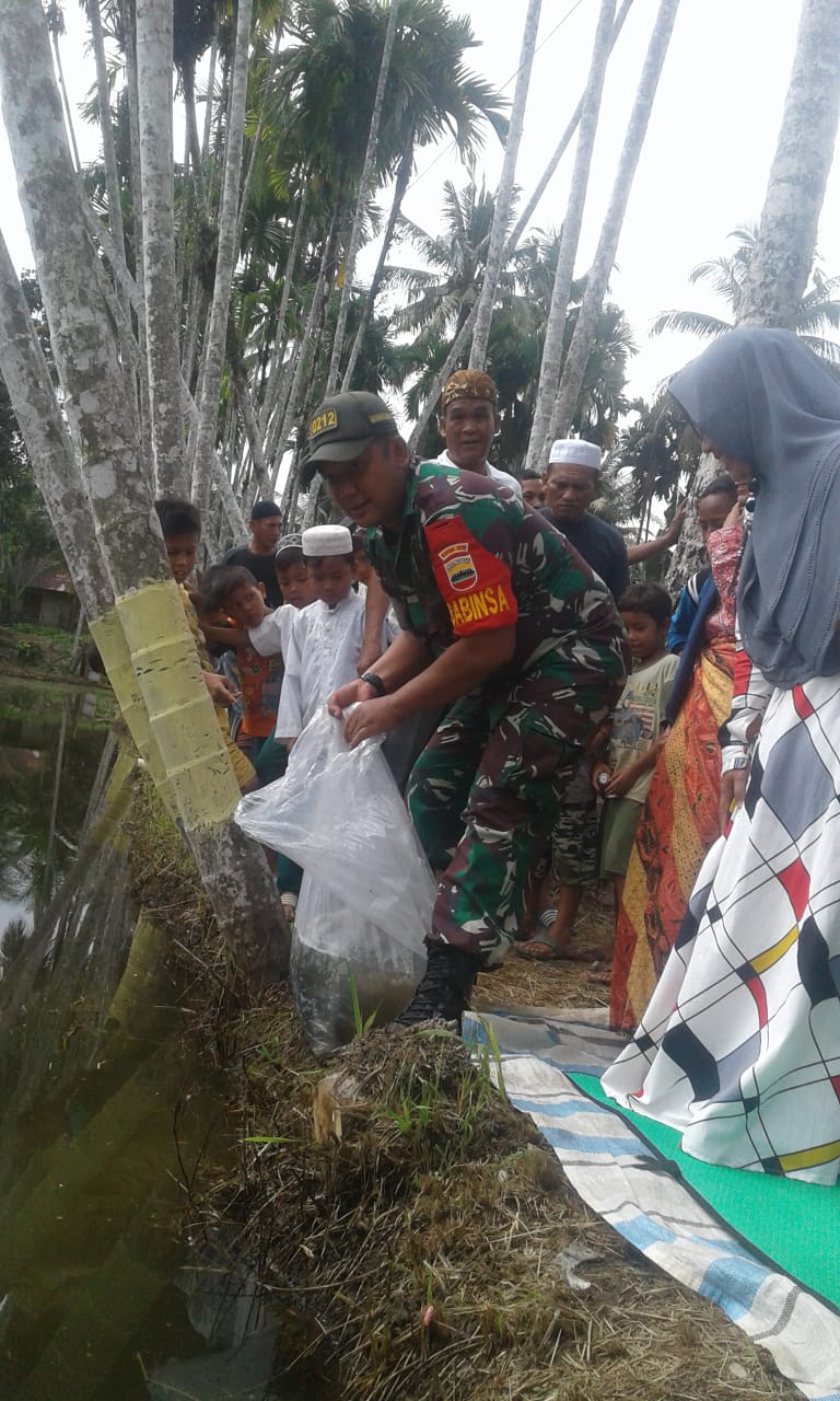 Babinsa Koramil 08/Barun Bersama Bumdes Satahi Batang Bulu Menabur Benih Ikan Nila